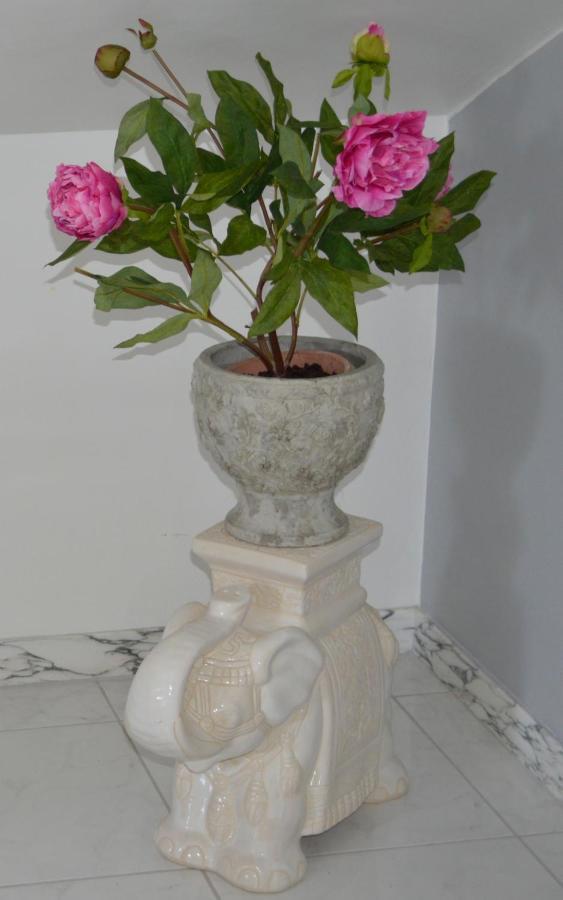 Bed&Breakfast Villa Lavanda Noci Esterno foto