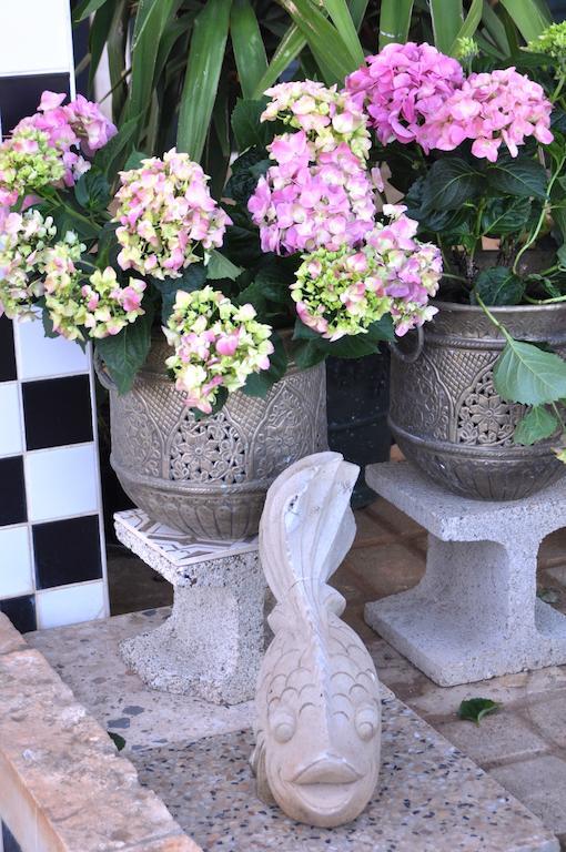 Bed&Breakfast Villa Lavanda Noci Esterno foto