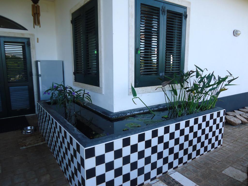 Bed&Breakfast Villa Lavanda Noci Esterno foto
