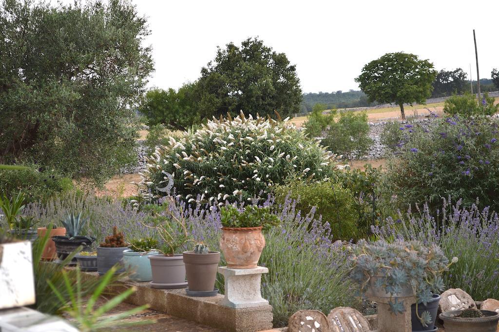 Bed&Breakfast Villa Lavanda Noci Esterno foto