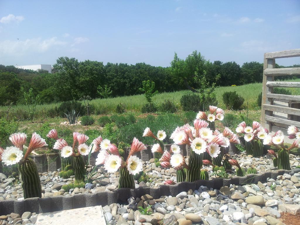 Bed&Breakfast Villa Lavanda Noci Esterno foto