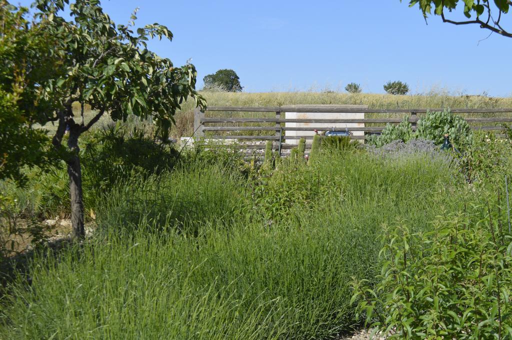 Bed&Breakfast Villa Lavanda Noci Esterno foto